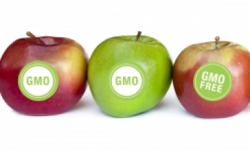 Megállapodás születhet a GMO-k termesztésének tiltásáról