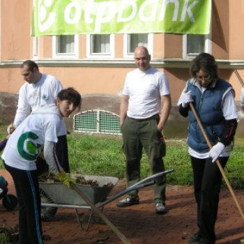 OTP Dombóvári Fiókjának közösségi munkanap a múzeumban