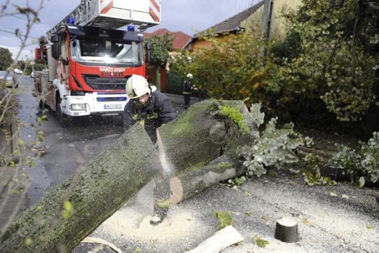 Főként kidőlt fák miatt riasztották a tűzoltókat