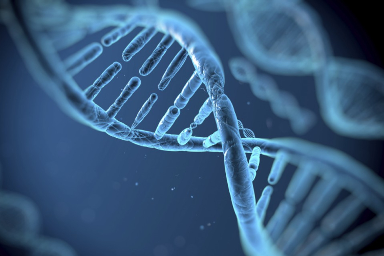 A prosztatarákkal összefüggő új génvariánsokat azonosítottak