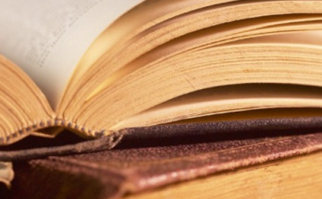 A Kárpát-medence bronzkori ásatásait összegző könyv és konferencia