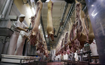 Húsáfa: nem éri meg importálni a fél sertést