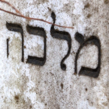 A dombóvári zsidó temető 2012.03.25.
