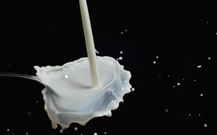 Szennyezettség miatt visszahívta egy friss tej termékét Németország legnagyobb tejfeldolgozója