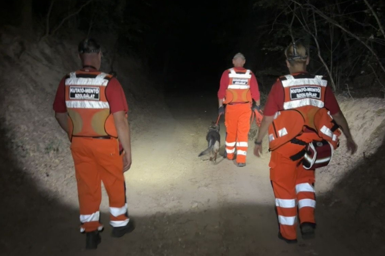 Csaknem 30 órányi keresés után találták meg a Páriból eltűnt nőt
