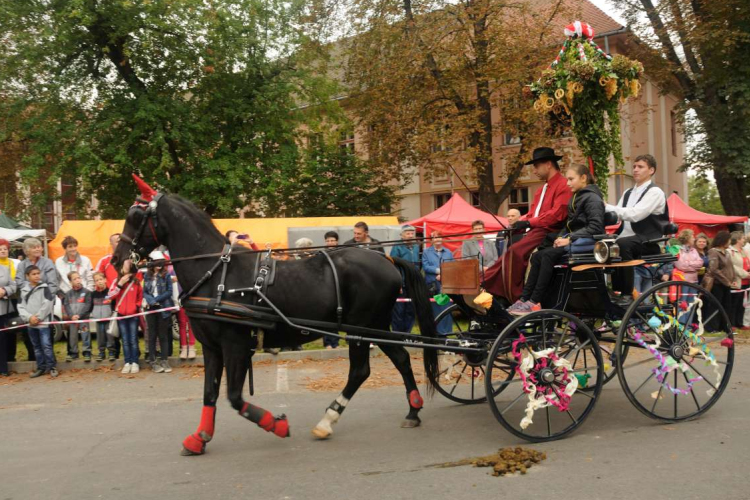Remekül sikerült az Újdombóvári Őszi Fesztivál