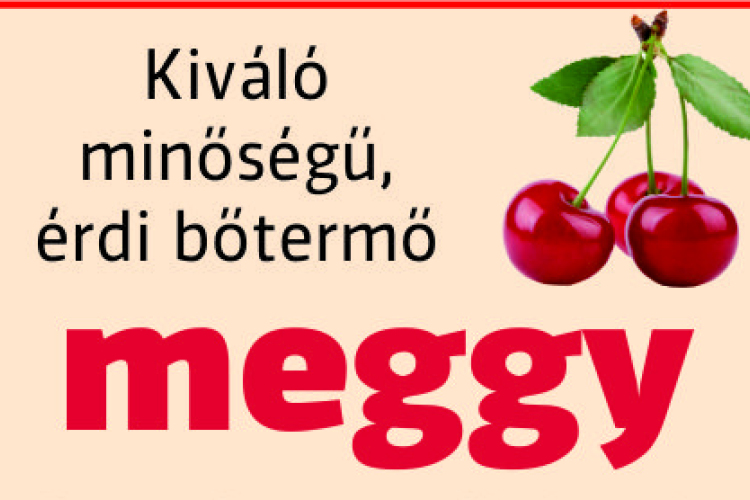 Már rendelhető az érdi bőtermő meggy Dombóváron és környékén