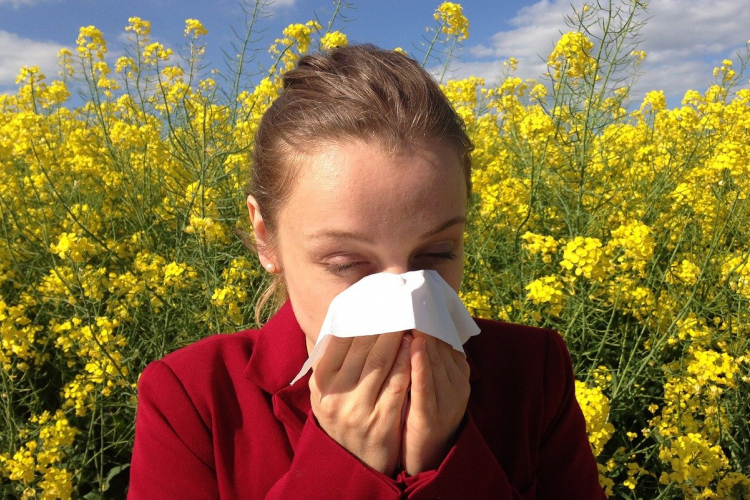 Allergiás tüneteket okozhatnak a pázsitfűfélék