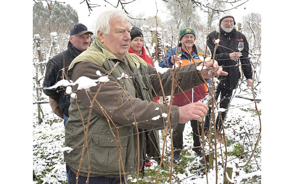 A dombóvári kertbarátok mindent megtettek a bőséges szőlőtermés érdekében