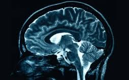 Áttörést jelenthet a magyar agykutatók tanulmánya