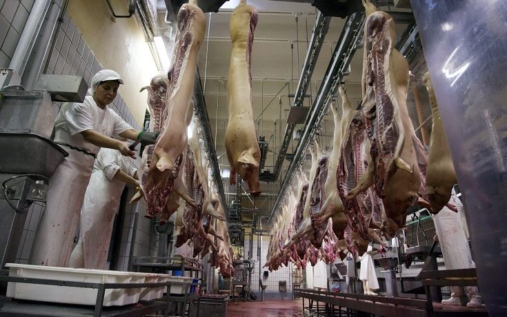 Húsáfa: nem éri meg importálni a fél sertést