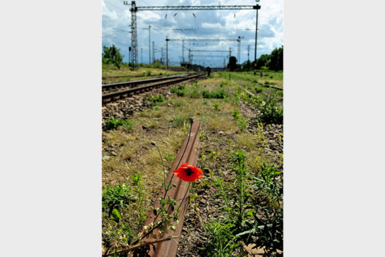 Dombóvári fotósok munkái Szegeden