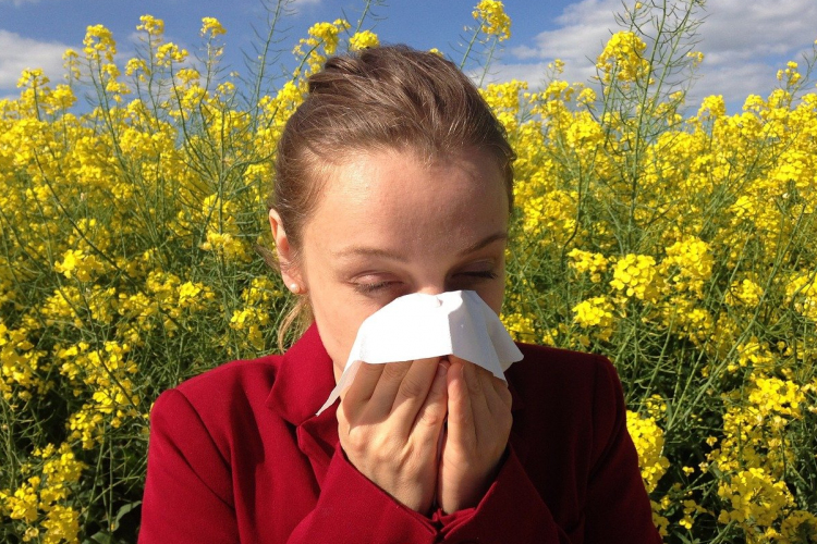 Súlyosabb tüneteket tapasztalhatnak idén a pollenallergiások