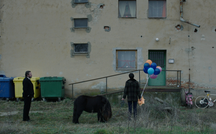 Két magyar rendező filmjét is díjazták Valladolidban