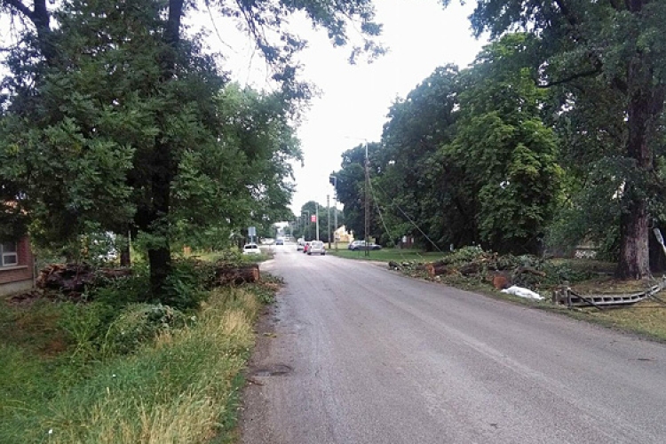Négy ember halt meg, amikor fa dőlt egy autóra Dombóváron 
