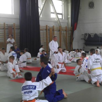 Országos judo edzőtábor - dombóvári részvétellel