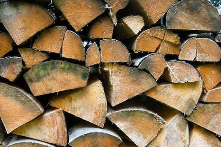 Tűzifa: támogatás lenne, igénylés nincs