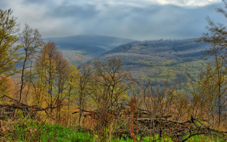 Eltévedt egy férfi két kisgyerekkel a Börzsönyben - reggel találták meg őket