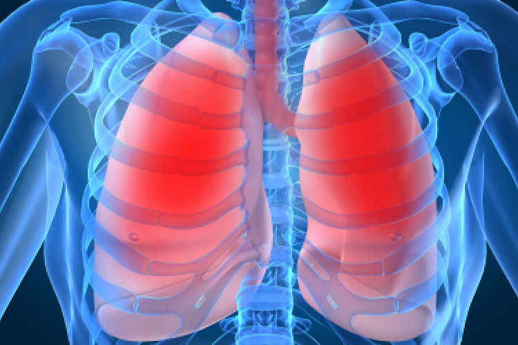 Hamarosan tüdőt is létre tudnak hozni őssejtekből? 