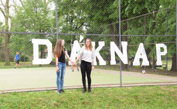 Diáknap a gimiben