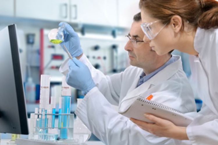 Hazahívó ösztöndíj tapasztalt kutatóknak