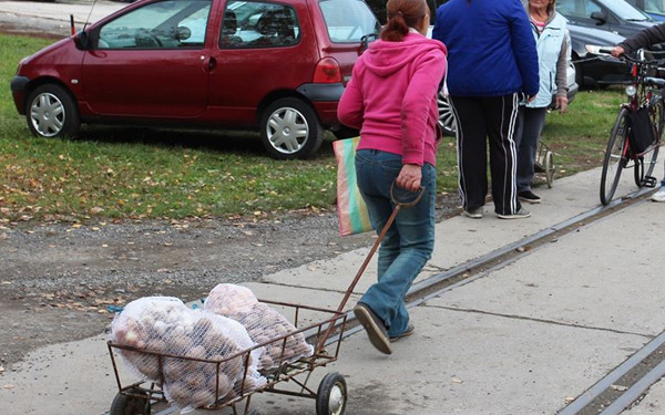 Több kilónyi zöldséget kapott 600 rászoruló