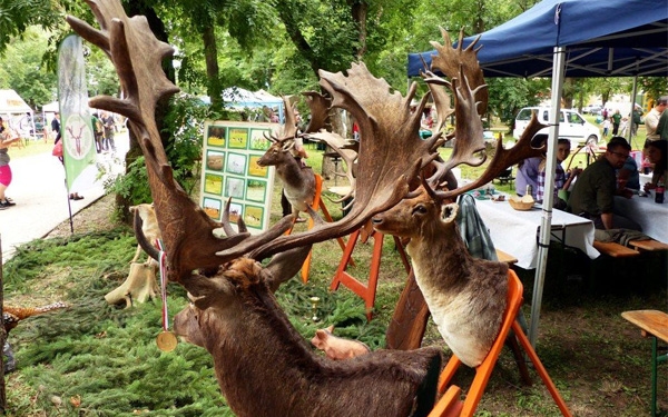 Dombóváron ünnepeltek a környék vadászai