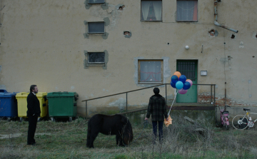 Két magyar rendező filmjét is díjazták Valladolidban