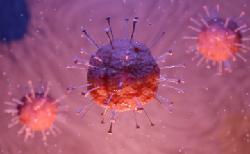 Amerikai történészek is dokumentálják a koronavírus-járványt