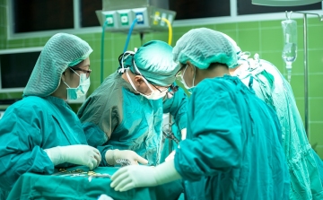 Rekordot döntött tavaly a szívtranszplantációk száma Magyarországon
