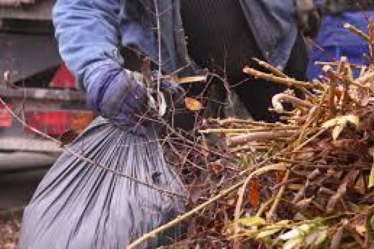 Tájékoztató a zöldhulladék gyűjtéséről!