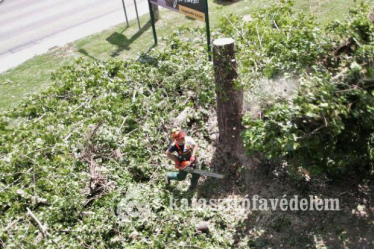 Újraminősítő gyakorlaton a Dombóvári, Kapos és Koppány mentőcsoportok