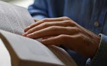 Ezt olvastuk 2013-ban