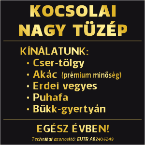 Zsigár Viki 300x300 naptárhoz