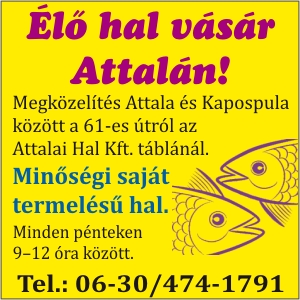 Bognár Attila havi naptarhoz